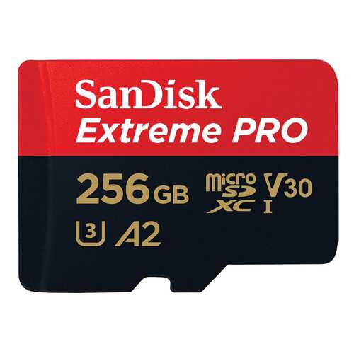 Карта памяти SanDisk SDXC Extreme Pro SDSQXCZ-256G-GN6MA 256GB в Ростелеком